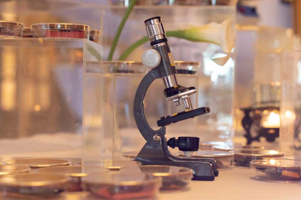 想い出巡りLab~秘密の醸造所~