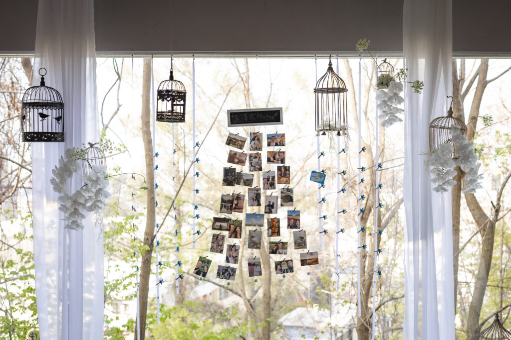 The White Wedding～白い世界と青い鳥～